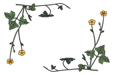 Botanical floral corner border isolated on white background vector