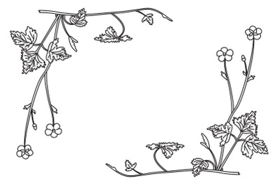 Line art botanical floral border corner isolated on white background