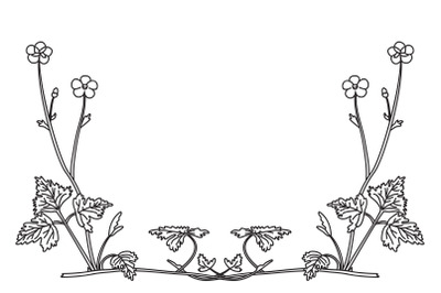 Line art botanical floral border corner isolated on white background