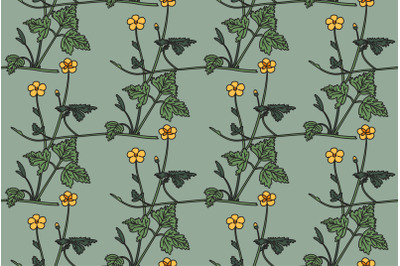 Botanical floral seamless pattern vector illustration. Repeating wildf