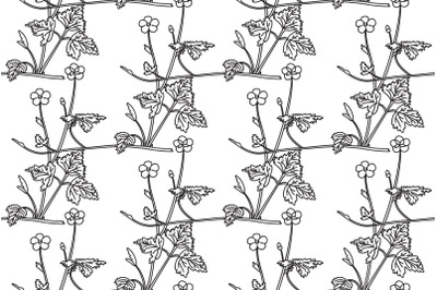 Line art botanical floral meadow seamless pattern vector illustration