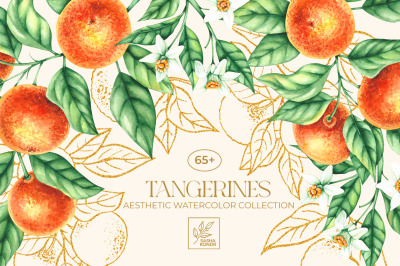 Tangerines Watercolor collection