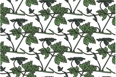 Botanical floral seamless pattern with grapevine vector illustration
