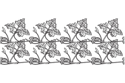 Line art botanical floral horizontal border with grapevine isolated