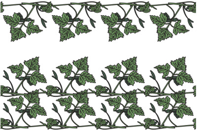 Botanical floral horizontal border with grapevine isolated on white bg