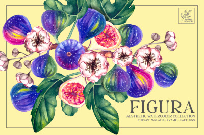 Fig Plant Watercolor clipart