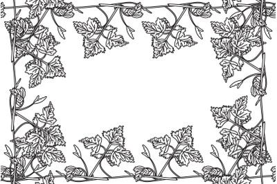 Line art botanical floral frame with grapevine isolated on white backg