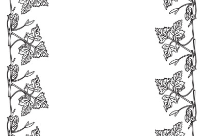 Line art botanical floral vertical border with grapevine isolated