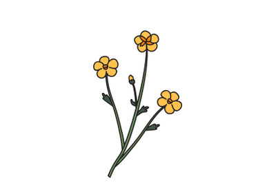 Botanical floral meadow bouquet isolated on white background Hand draw