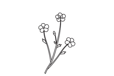 Line art botanical floral meadow bouquet doodle isolated on white back