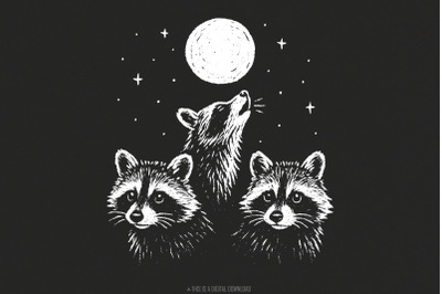 Moonlit Raccoon Trio PNG, Woodland Animal PNG, Forest Animal PNG, Hand