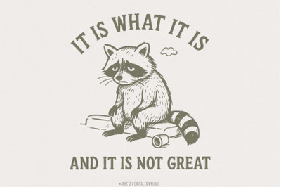 It Is What It Is And It Is Not Great PNG, Sad Raccoon Shirt, Sarcastic