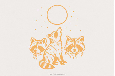 Raccoon Trio PNG Clipart Howling at Moon, Cute Forest Animal PNG Art D