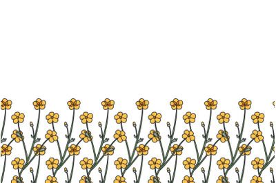 Botanical floral horizontal border with meadow flowers isolated vector