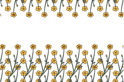 Botanical floral horizontal border with meadow flowers isolated vector