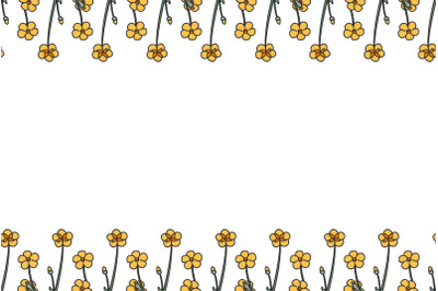 Botanical floral horizontal border with meadow flowers isolated vector