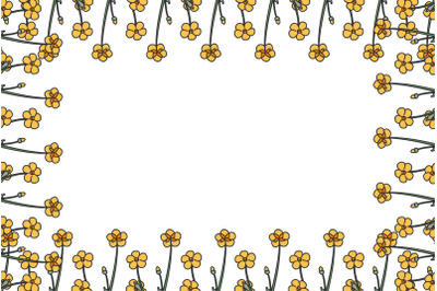 Botanical floral frame with meadow flowers isolated on white backgroun