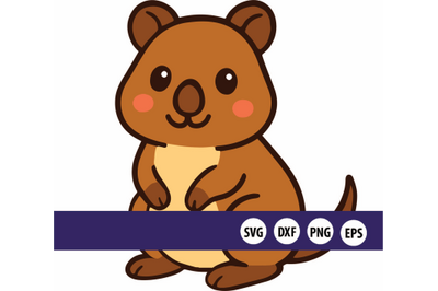 Quokka