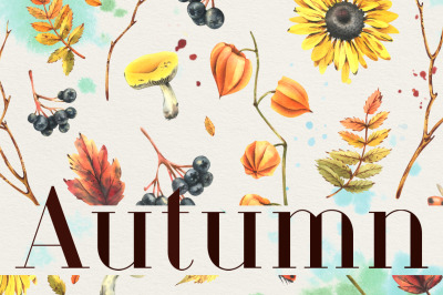 Autumn Botanical Watercolor Isolated