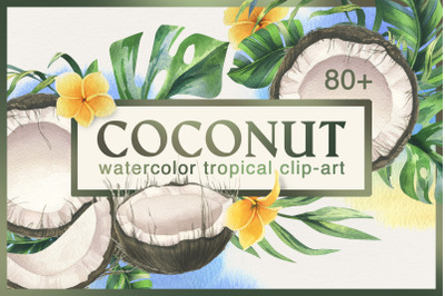Coconuts and tropical leaves watercolor clipart