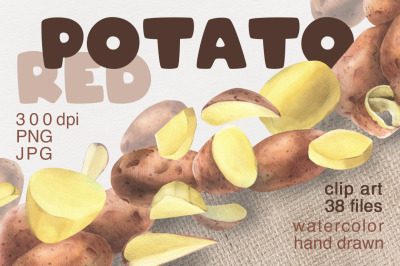 Red Potato Watercolor Clip Art