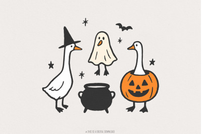 Halloween Goose PNG, Witch Goose, Pumpkin Costume, Ghost Animal Digita