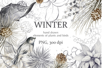 Watercolor Winter Birds &amp; Florals Clipart Collection