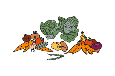 Set botanical decorative different vegetables isolated on white backgr