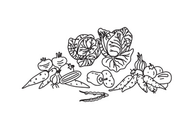 Set Line art botanical different vegetables isolated on white backgrou
