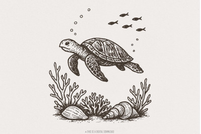 Sea Turtle PNG, Ocean Animal Clipart, Underwater Illustration, Marine
