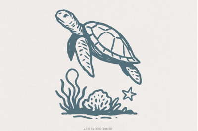 Sea Turtle PNG Clipart, Ocean Animal Illustration, Marine Life Art, Pr