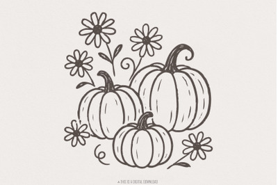 Pumpkin And Daisy PNG&2C; Fall Flowers Digital Download&2C; Autumn Pumpkin C