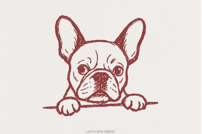 French Bulldog PNG, Digital Download, Cute Dog Clipart, Hand Drawn Pet