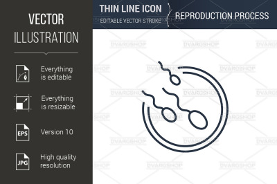 Icon of Reproduction Process