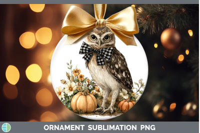Owl Ornament Animals Autumn Pumpkin Sublimation Bauble Desig