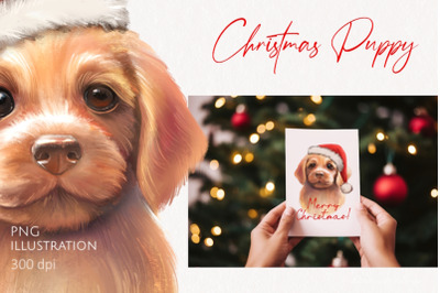 Christmas Puppy with Santa Hat - Festive Clipart PNG