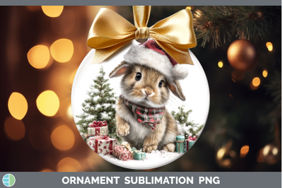 Bunny Ornament Farm Christmas Santa Sublimation Bauble Desig