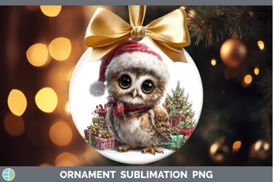 Owl Ornament Christmas Santa Hat Sublimation Bauble Designs