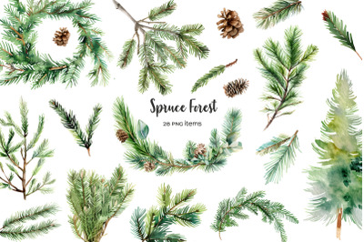Watercolor fir clipart. Spruce forest clip art. Pine needle set