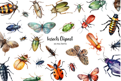 Watercolor beetles clipart. Watercolor insects clipart 35 PNG