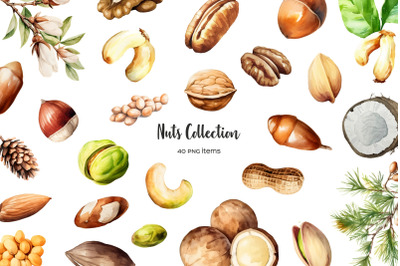 Watercolor nuts clipart. Nuts bundle. Types of nuts PNG walnut, almond