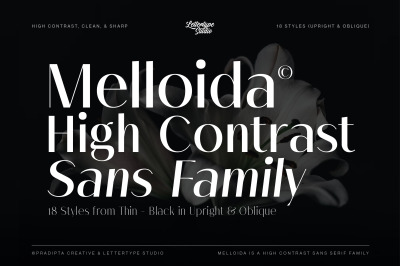 Melloida High Contrast Sans Serif Family