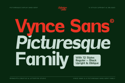 Vynce Sans a Unique Picturesque Display Family