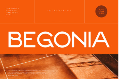 Begonia