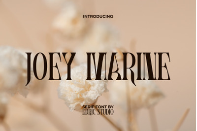 joey marine