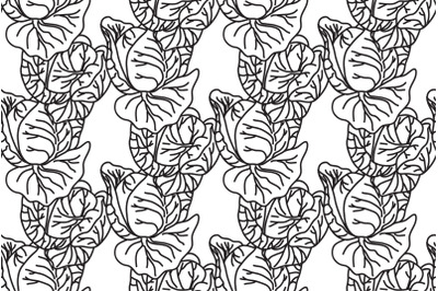 Line art botanical cabbages seamless pattern vector illustration.