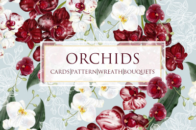 WATERCOLOR ORCHIDS