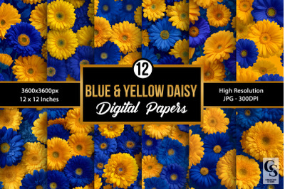 Blue and Yellow Gerbera Daisy Flowers Digital Paper