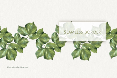 Hand-Drawn Leaf Seamless Border PNG