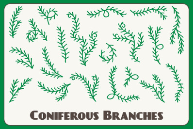Coniferous Branches PNG Clipart